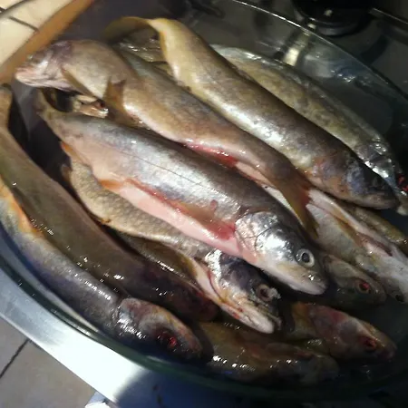 Au Chant Des Marmites 住宿加早餐酒店 4*