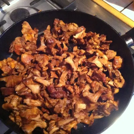 Au Chant Des Marmites 住宿加早餐酒店