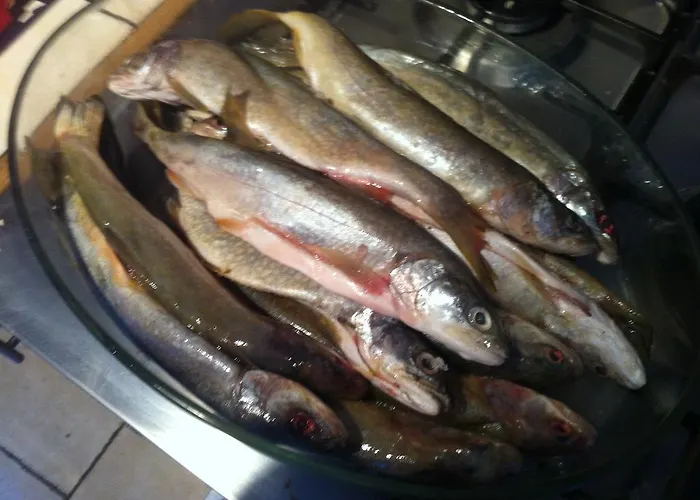 Au Chant Des Marmites 住宿加早餐酒店 4*